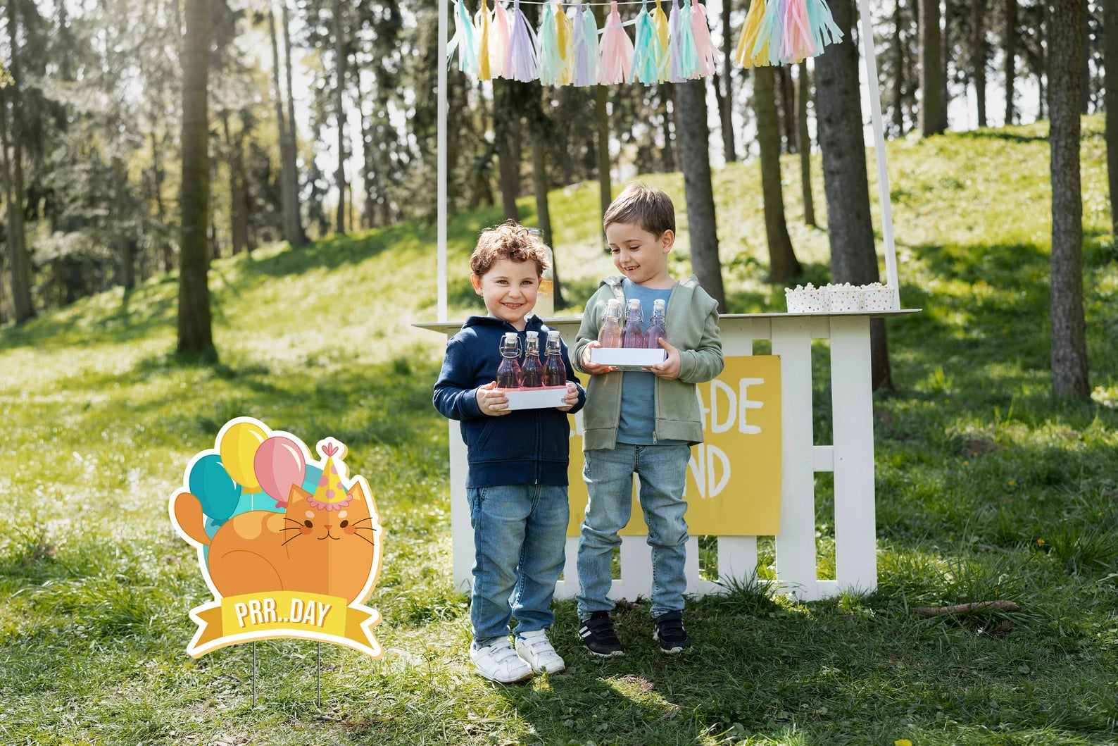 Happy Birthday Party Cat Theme Sign